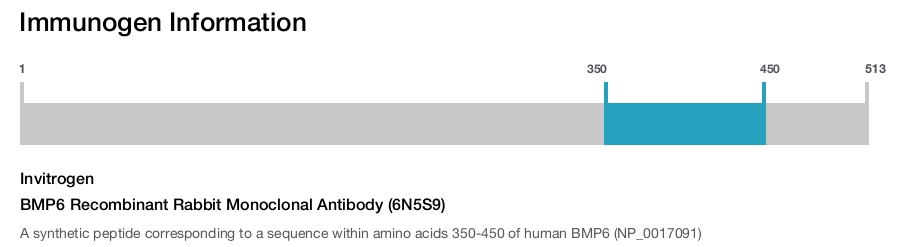 BMP6 Recombinant Rabbit Monoclonal Antibody (6N5S9)