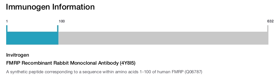 FMRP Recombinant Rabbit Monoclonal Antibody (4Y8I5)