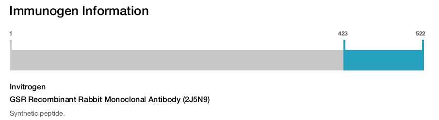 GSR Recombinant Rabbit Monoclonal Antibody (2J5N9)