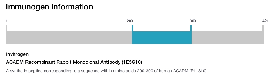 ACADM Recombinant Rabbit Monoclonal Antibody (1E5G10)