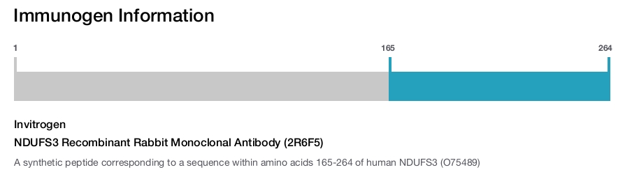 NDUFS3 Recombinant Rabbit Monoclonal Antibody (2R6F5)
