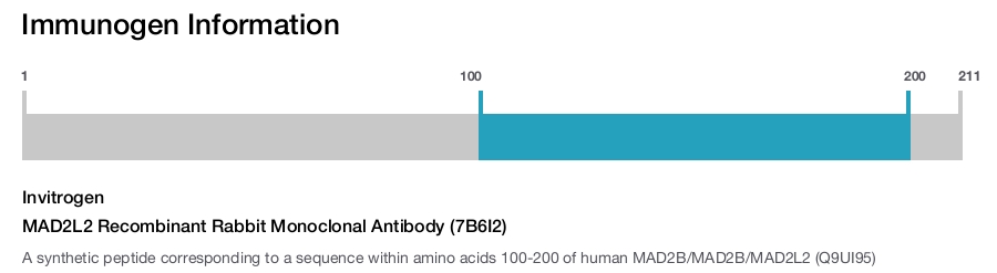 MAD2L2 Recombinant Rabbit Monoclonal Antibody (7B6I2)
