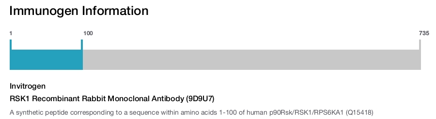 RSK1 Recombinant Rabbit Monoclonal Antibody (9D9U7)