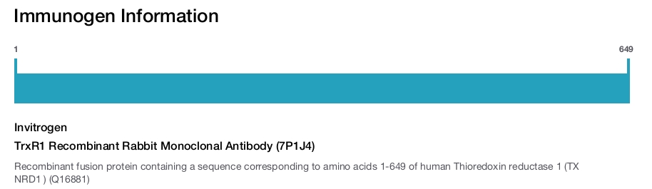 TrxR1 Recombinant Rabbit Monoclonal Antibody (7P1J4)