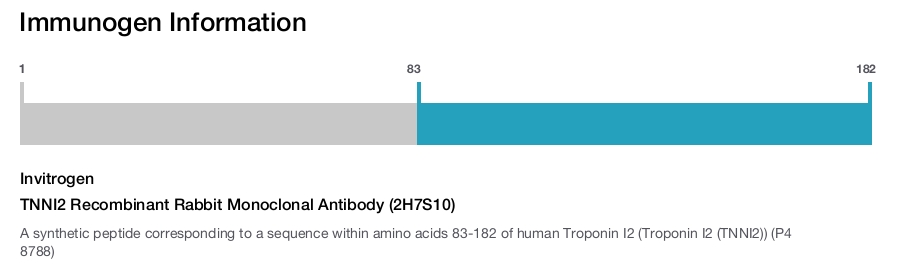 TNNI2 Recombinant Rabbit Monoclonal Antibody (2H7S10)