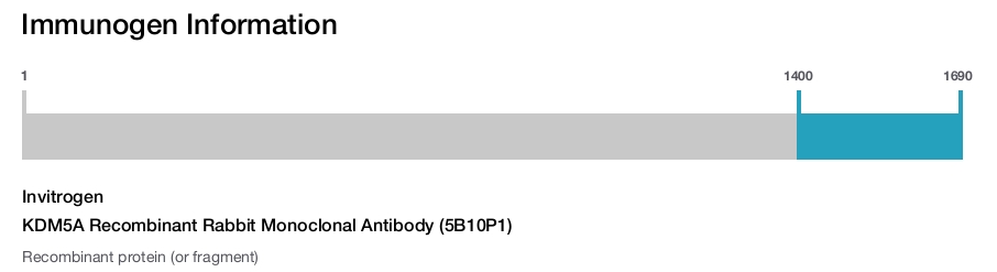 KDM5A Recombinant Rabbit Monoclonal Antibody (5B10P1)