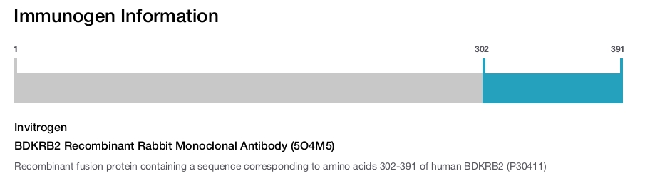 BDKRB2 Recombinant Rabbit Monoclonal Antibody (5O4M5)