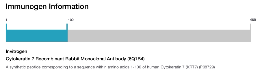 Cytokeratin 7 Recombinant Rabbit Monoclonal Antibody (6Q1B4)