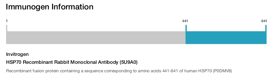 HSP70 Recombinant Rabbit Monoclonal Antibody (5U9A0)