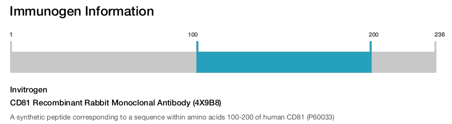CD81 Recombinant Rabbit Monoclonal Antibody (4X9B8)