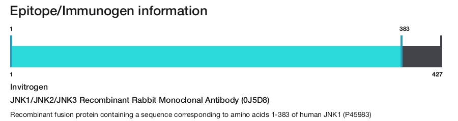 JNK1/JNK2/JNK3 Recombinant Rabbit Monoclonal Antibody (0J5D8)