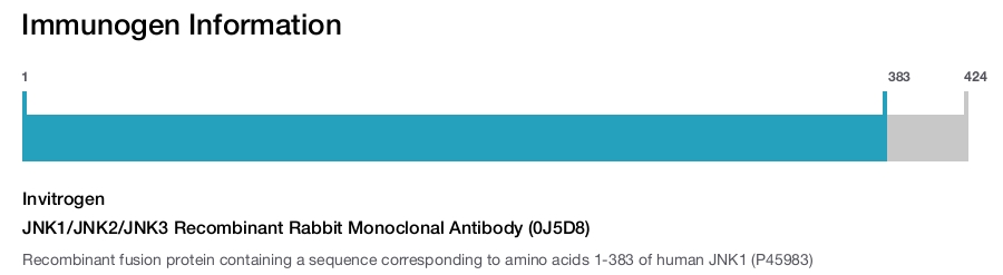 JNK1/JNK2/JNK3 Recombinant Rabbit Monoclonal Antibody (0J5D8)