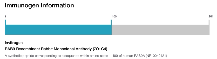 RAB9 Recombinant Rabbit Monoclonal Antibody (7O1G4)