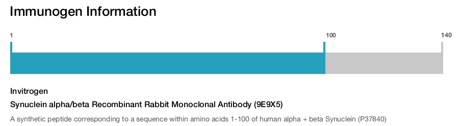 Synuclein alpha/beta Recombinant Rabbit Monoclonal Antibody (9E9X5)