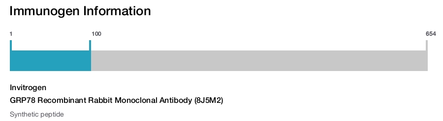 GRP78 Recombinant Rabbit Monoclonal Antibody (8J5M2)