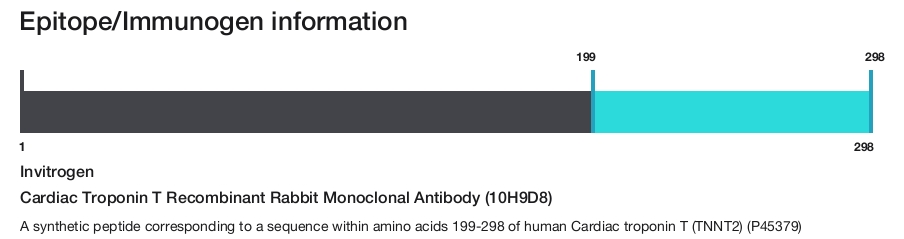 Cardiac Troponin T Recombinant Rabbit Monoclonal Antibody (10H9D8)