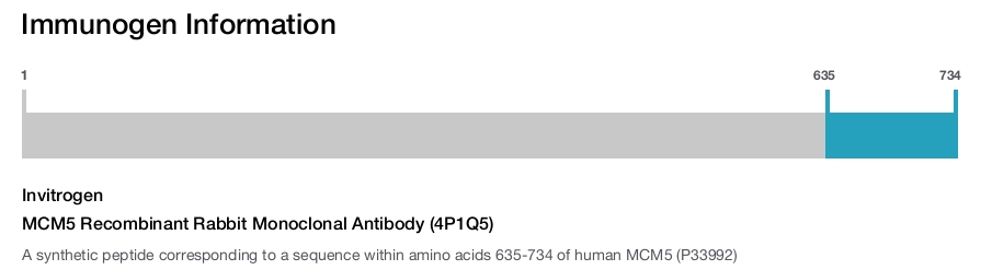 MCM5 Recombinant Rabbit Monoclonal Antibody (4P1Q5)