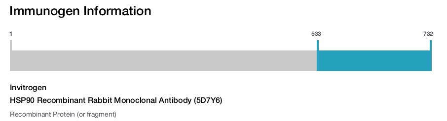 HSP90 Recombinant Rabbit Monoclonal Antibody (5D7Y6)
