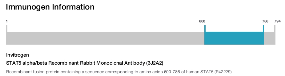 STAT5 alpha/beta Recombinant Rabbit Monoclonal Antibody (3J2A2)