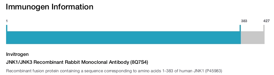 JNK1/JNK3 Recombinant Rabbit Monoclonal Antibody (8Q7S4)