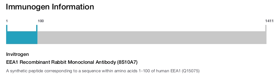 EEA1 Recombinant Rabbit Monoclonal Antibody (8S10A7)