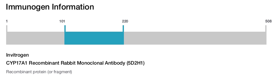 CYP17A1 Recombinant Rabbit Monoclonal Antibody (5D2H1)