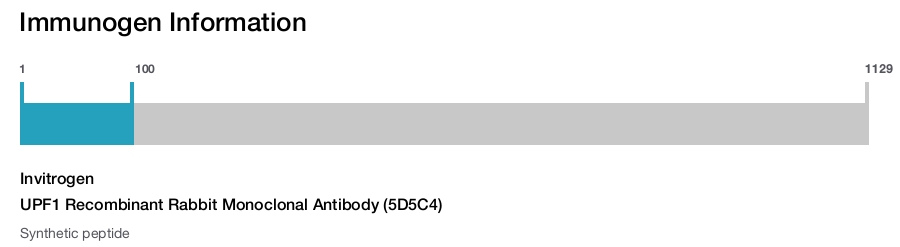 UPF1 Recombinant Rabbit Monoclonal Antibody (5D5C4)