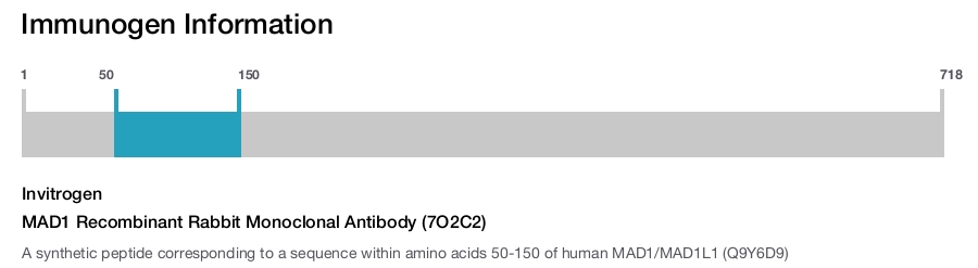 MAD1 Recombinant Rabbit Monoclonal Antibody (7O2C2)