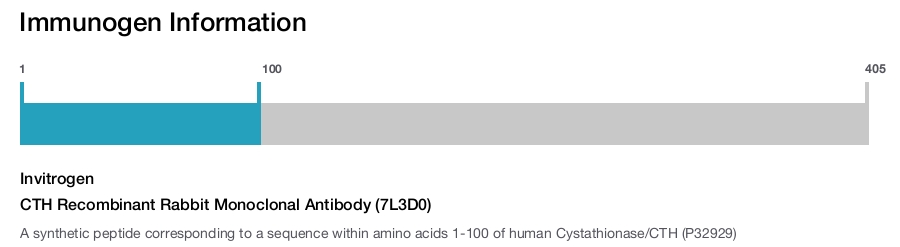 CTH Recombinant Rabbit Monoclonal Antibody (7L3D0)