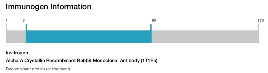 Alpha A Crystallin Recombinant Rabbit Monoclonal Antibody (1T1F5)
