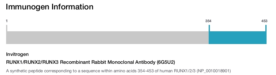 RUNX1/RUNX2/RUNX3 Recombinant Rabbit Monoclonal Antibody (6G5U2)