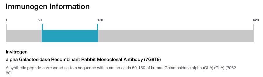 alpha Galactosidase Recombinant Rabbit Monoclonal Antibody (7G8T9)