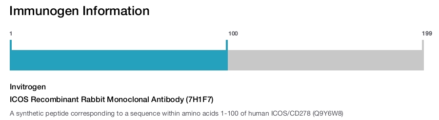 ICOS Recombinant Rabbit Monoclonal Antibody (7H1F7)