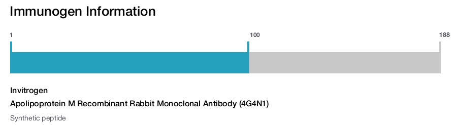 Apolipoprotein M Recombinant Rabbit Monoclonal Antibody (4G4N1)