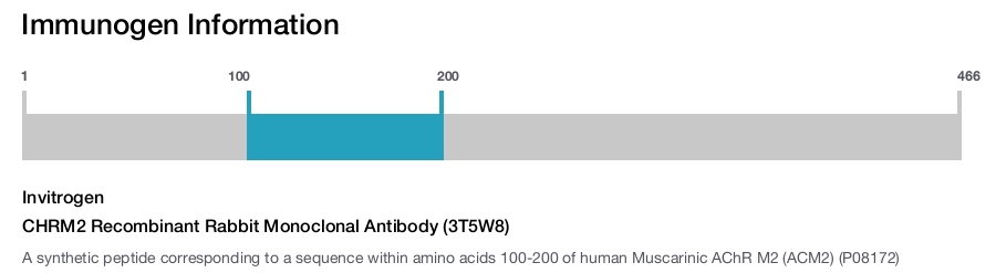 CHRM2 Recombinant Rabbit Monoclonal Antibody (3T5W8)