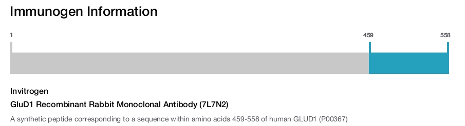 GluD1 Recombinant Rabbit Monoclonal Antibody (7L7N2)