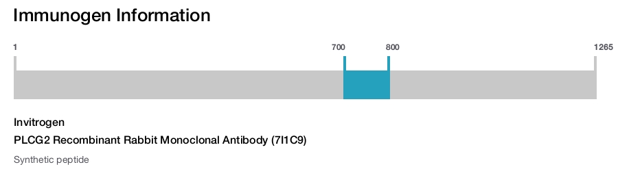 PLCG2 Recombinant Rabbit Monoclonal Antibody (7I1C9)