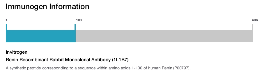 Renin Recombinant Rabbit Monoclonal Antibody (1L1B7)