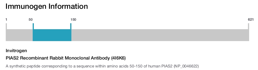PIAS2 Recombinant Rabbit Monoclonal Antibody (4I6K6)
