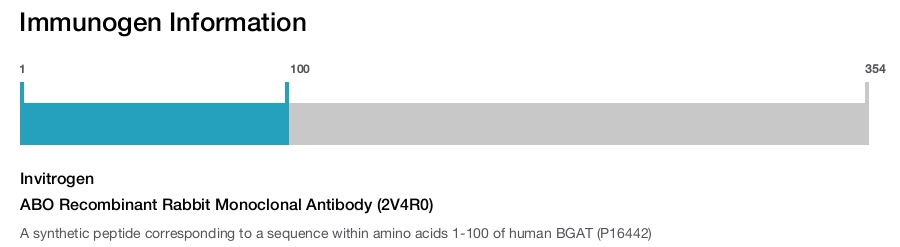 ABO Recombinant Rabbit Monoclonal Antibody (2V4R0)