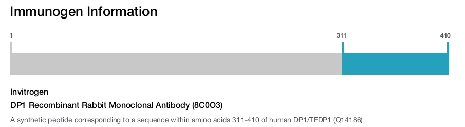 DP1 Recombinant Rabbit Monoclonal Antibody (8C0O3)