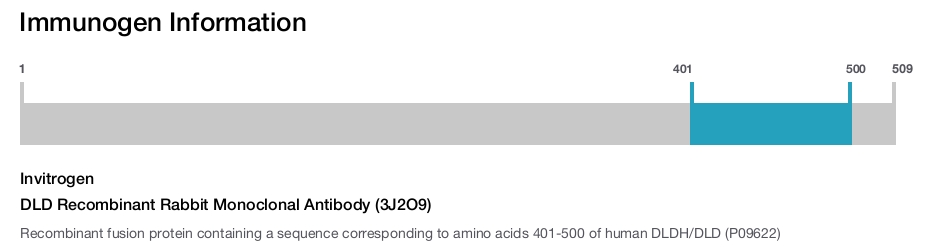 DLD Recombinant Rabbit Monoclonal Antibody (3J2O9)