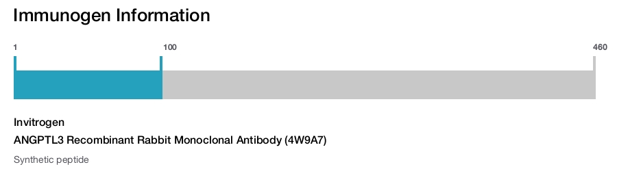 ANGPTL3 Recombinant Rabbit Monoclonal Antibody (4W9A7)