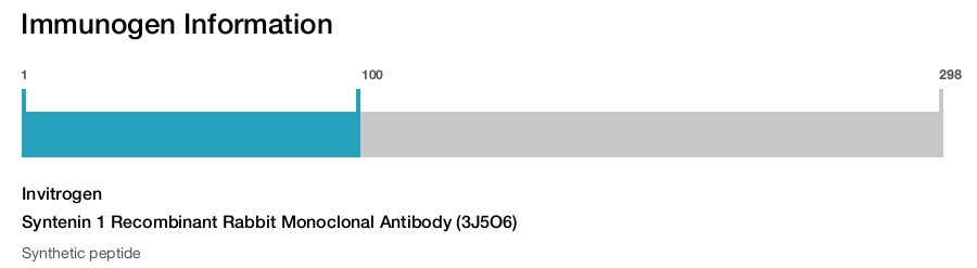 Syntenin 1 Recombinant Rabbit Monoclonal Antibody (3J5O6)
