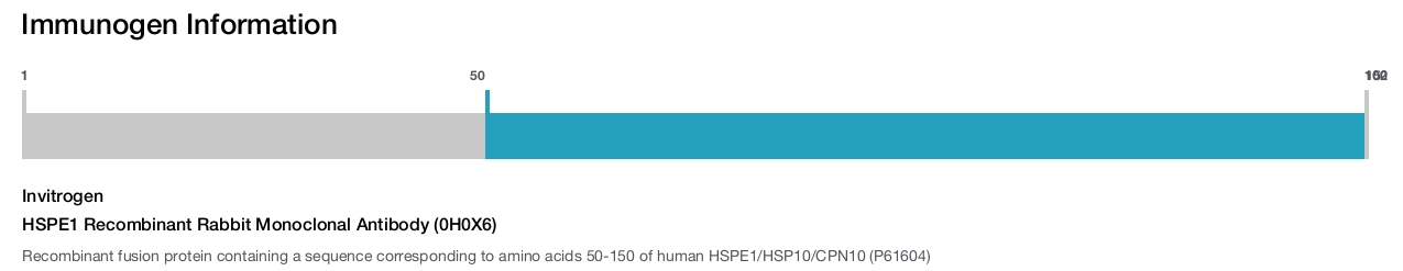 HSPE1 Recombinant Rabbit Monoclonal Antibody (0H0X6)