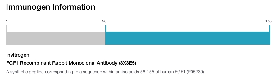 FGF1 Recombinant Rabbit Monoclonal Antibody (3X3E5)