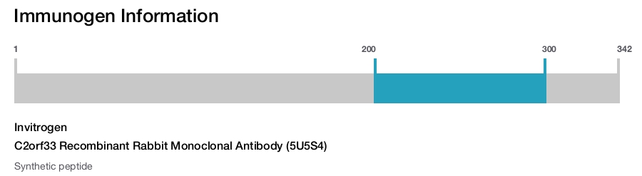 C2orf33 Recombinant Rabbit Monoclonal Antibody (5U5S4)