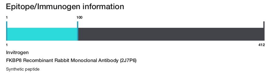 FKBP8 Recombinant Rabbit Monoclonal Antibody (2J7P6)