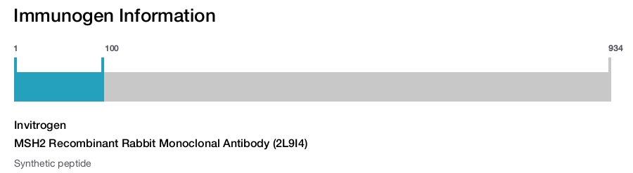 MSH2 Recombinant Rabbit Monoclonal Antibody (2L9I4)
