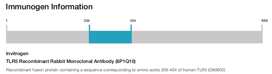 TLR5 Recombinant Rabbit Monoclonal Antibody (6P1Q10)